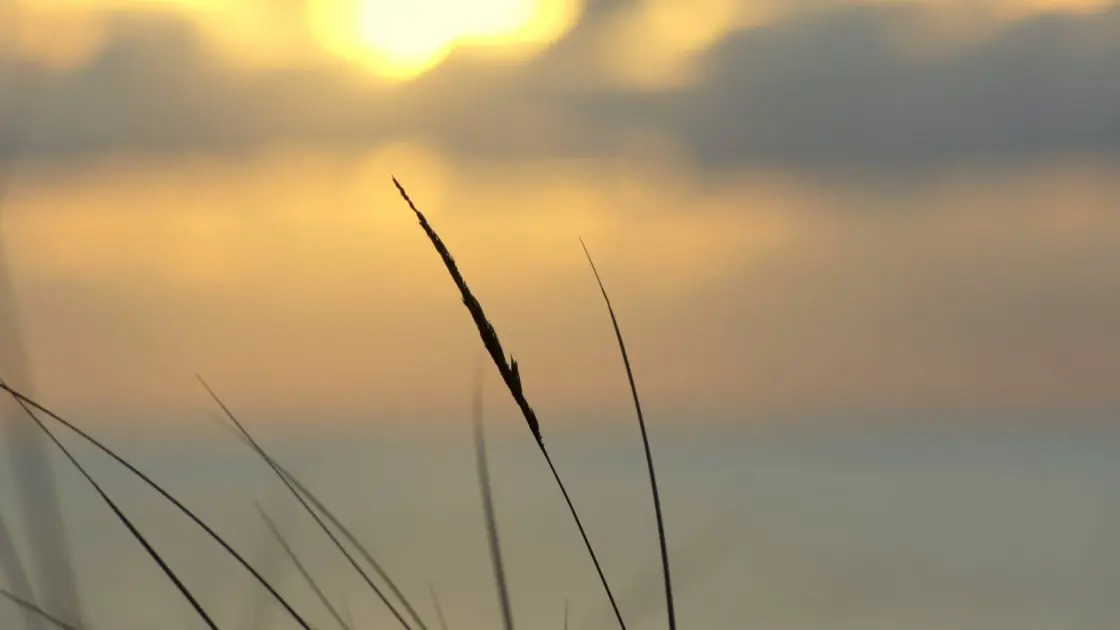 De Zee Kust fotografie