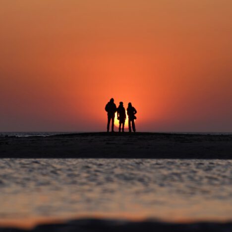 Avenue Boutique Hotel Blankenberge