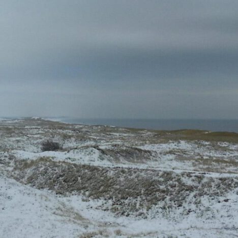 EEN HAAI IN NEDERLAND?!