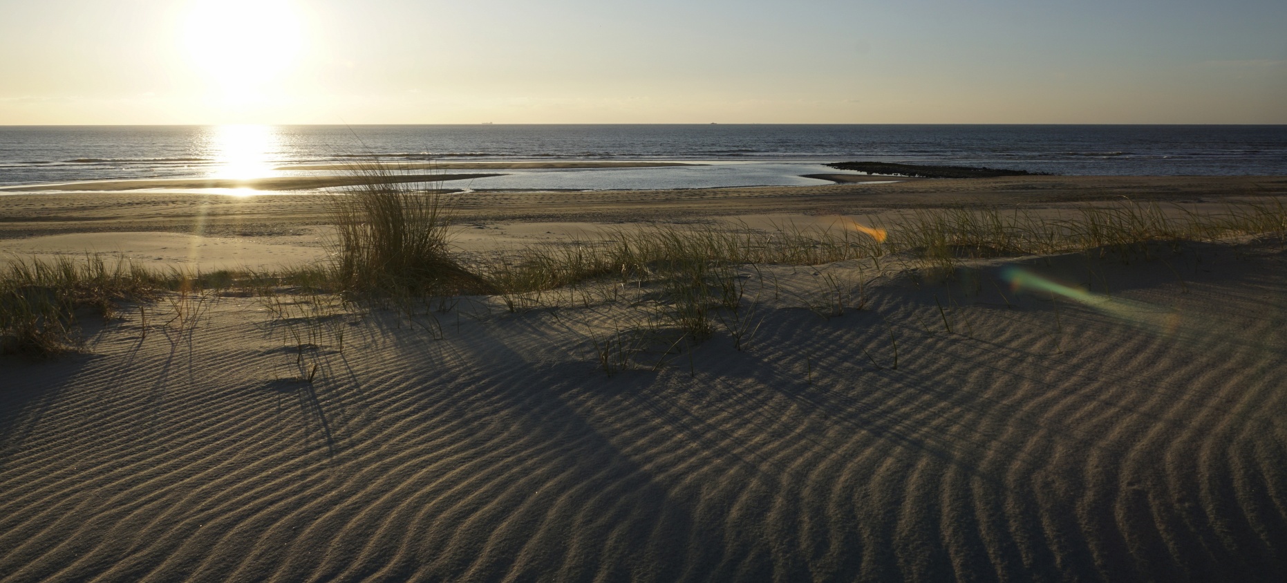NEDERLANDSE KUSTDAGEN