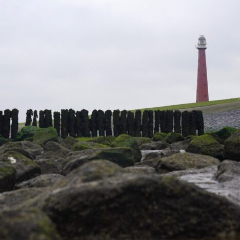 MYSTERIEUZE BOTVONDSTEN